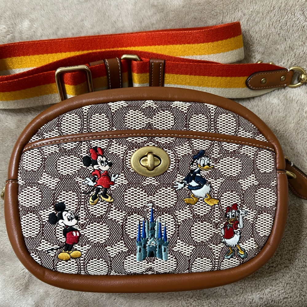 Coach camera bag